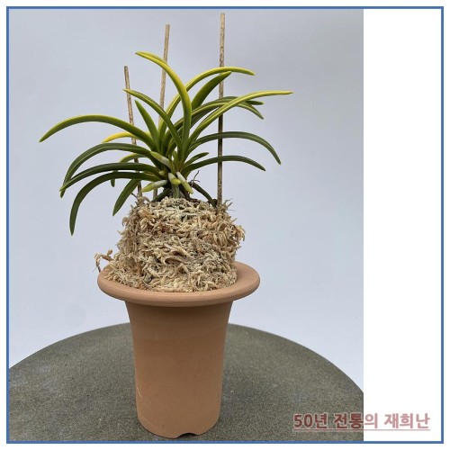 청축부악 250515-01