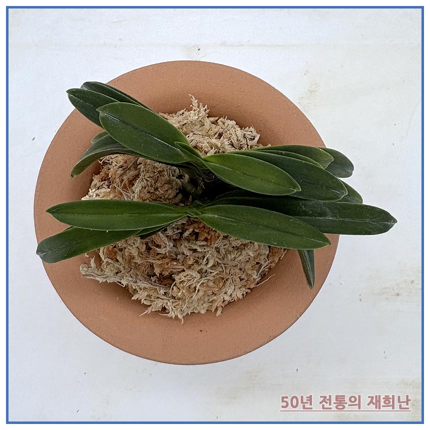 취화전 250915-18