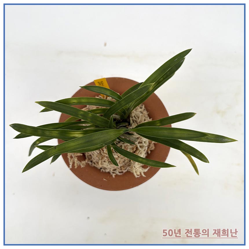 일월광 250924-08
