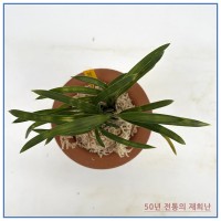 일월광 250924-08
