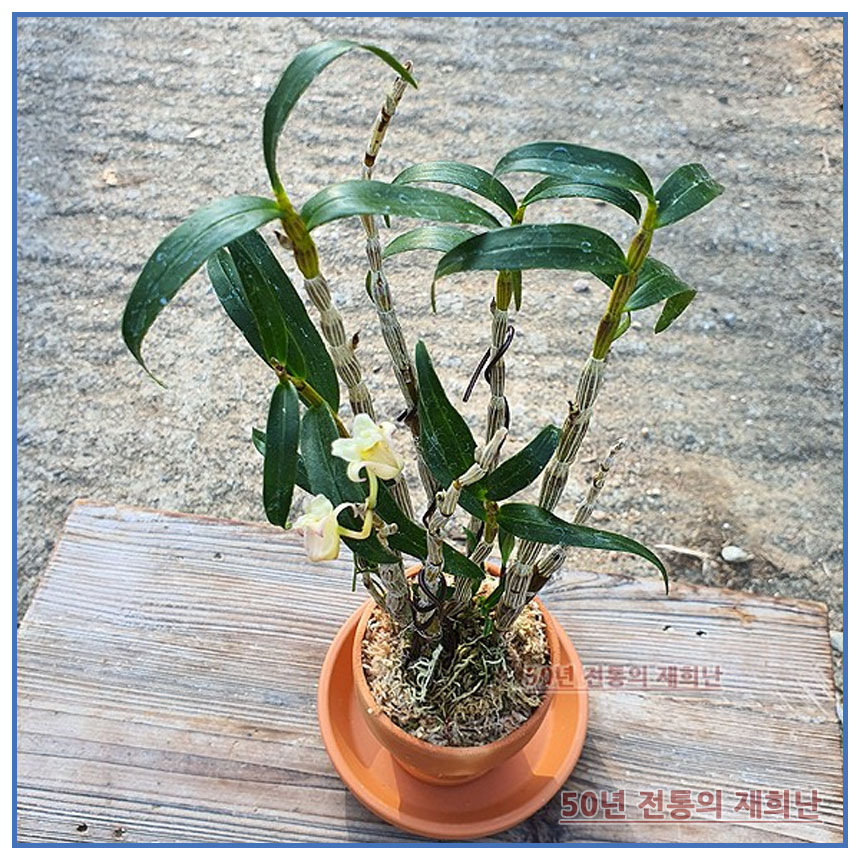 단봉